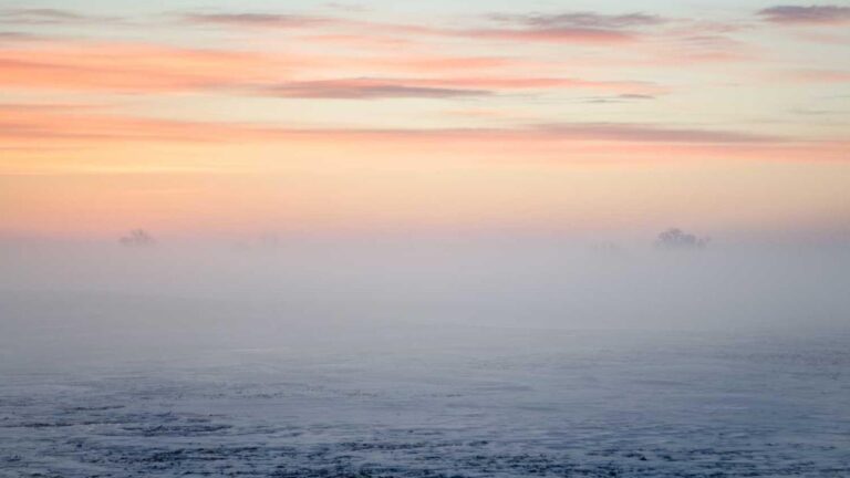 Where To Download The 11Xplay Pro Login India Registration Form?